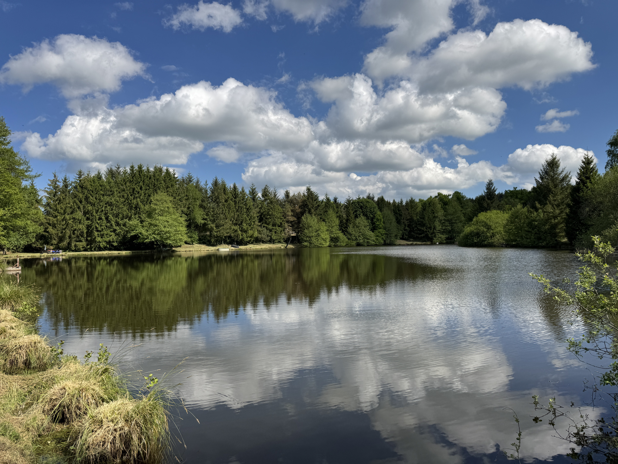 ENSEMBLE DE 2 GRANDS ETANGS DANS LE MORVAN