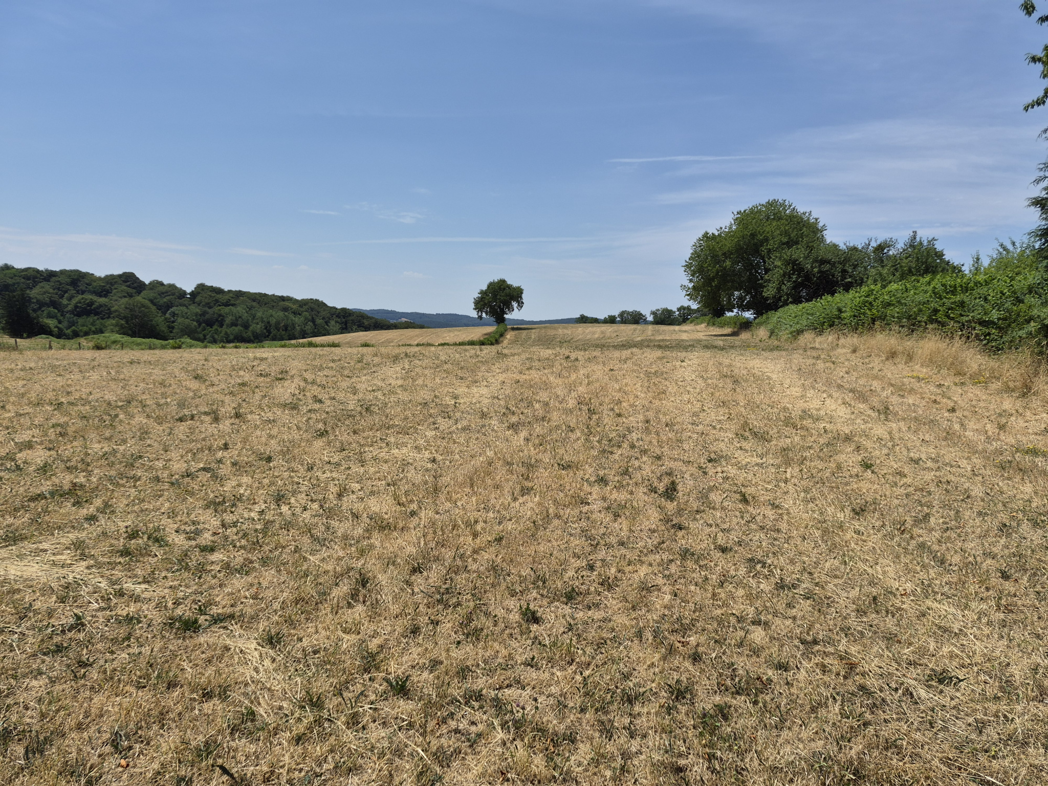 MORVAN TERRAIN CONSTRUCTIBLE AVEC VUE DEGAGEE